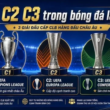 C1, C2, C3 Trong Bóng Đá Là Gì? Cách Phân Biệt Ba Cúp Châu Âu