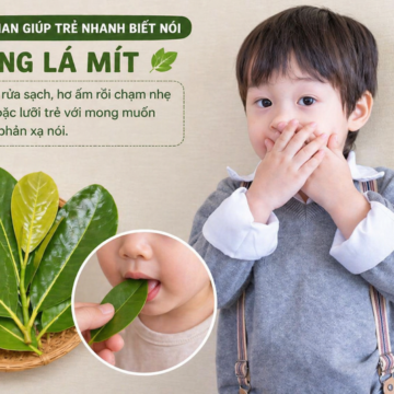 Dùng lá mít và một trong những mẹo dân gian chữa trẻ chậm nói dễ làm nhất