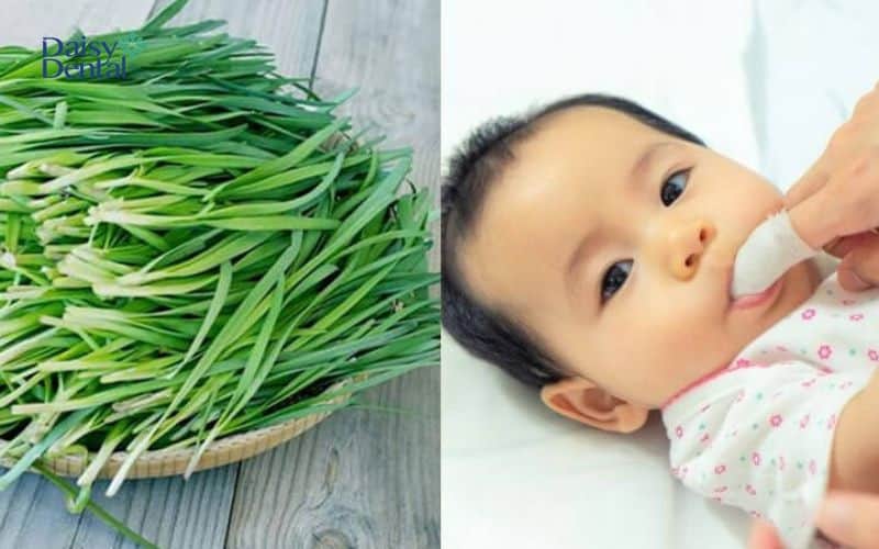 Lá hẹ cũng được nhắc đến trong mẹo chữa trẻ chậm nói