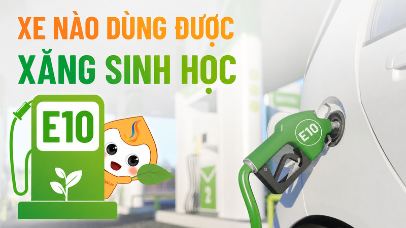 Xăng E10 phù hợp với nhiều phương tiện chạy xăng đời mới nếu được nhà sản xuất cho phép. 