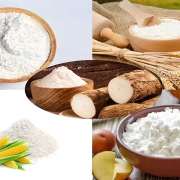 Dinh dưỡng cho bé: Nền tảng quan trọng cho sự phát triển toàn diện